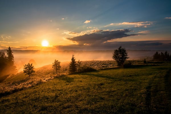 The Lord is my shepherd